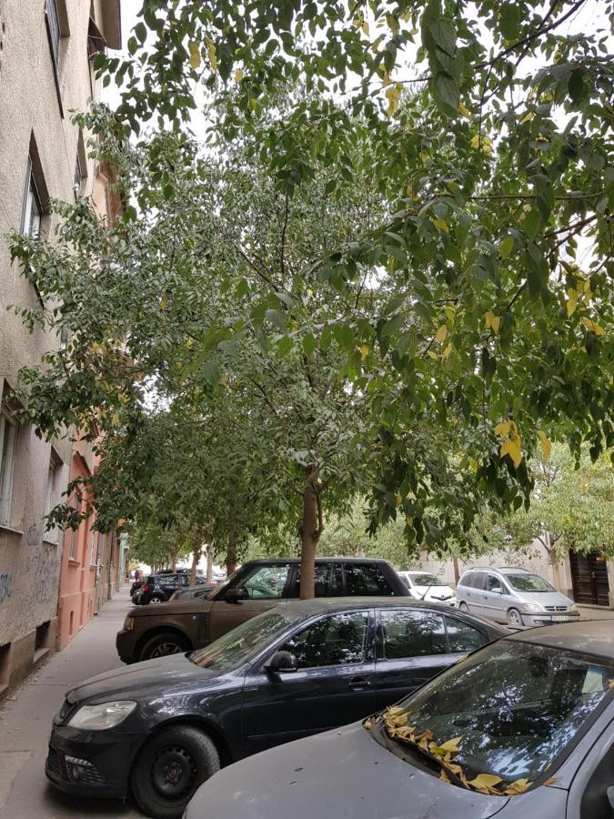 Mia Apartment Novi Sad Exterior photo